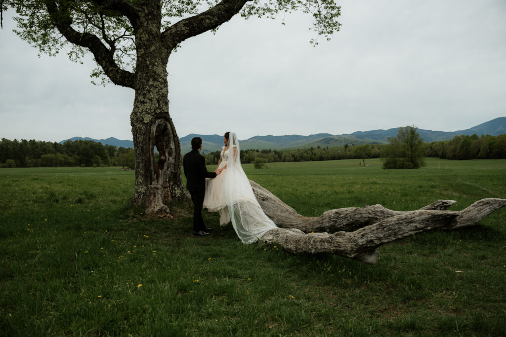 A couple Hikes to Heaven Hills Trail on their Lake Placid Elopement Day and is sitting on a tree branch looking at the mountains.