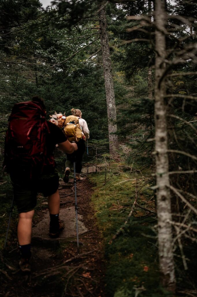 A couple hikes to their elopement location through the forest at Indian Head Mountain in the Adirondacks. 