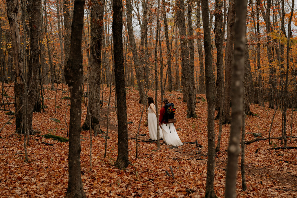 Two brides walk through a forest full of orange and yellow leaves and can be seen in between the trees holding hands.