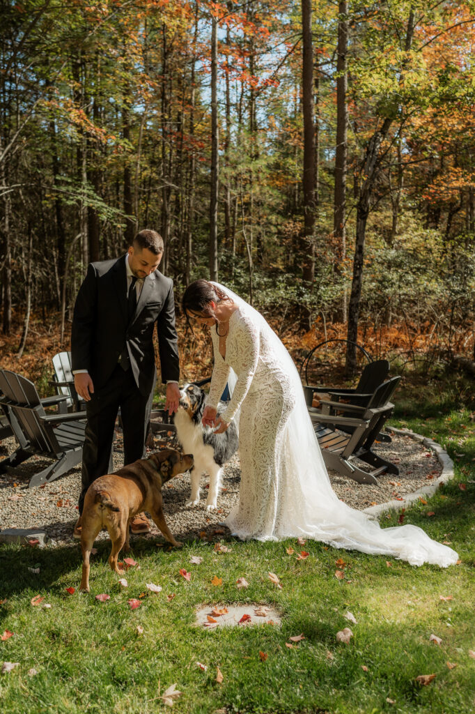 Bride and groom play with their dogs on their elopement day.